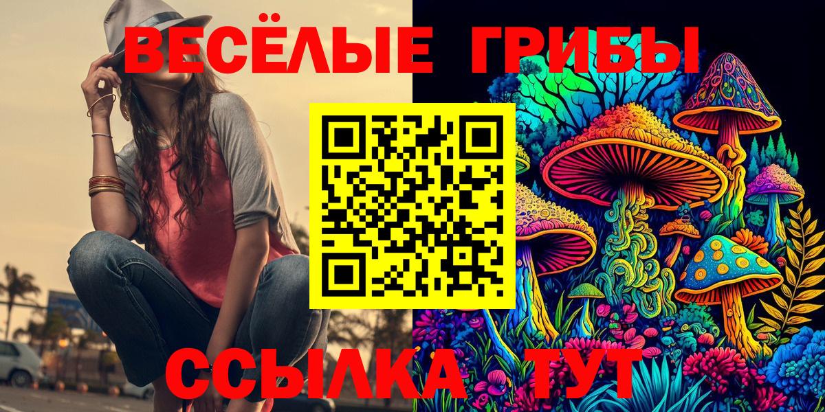 Галлюциногенные грибы GOLDEN TEACHER Кохма