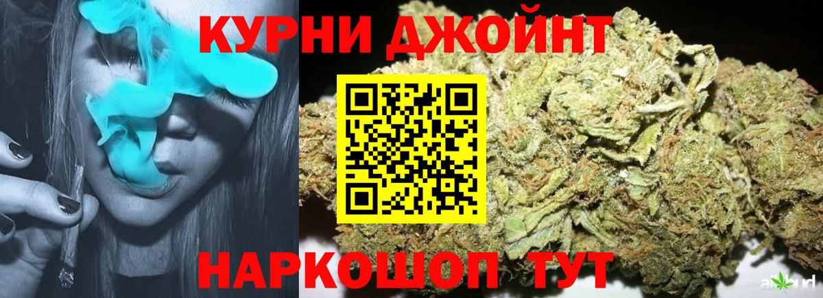 Канабис ГИДРОПОН Кохма